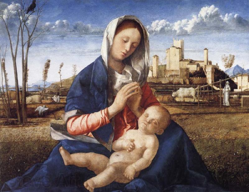 Gentile Bellini The Madonna of the Meadow Spain oil painting art